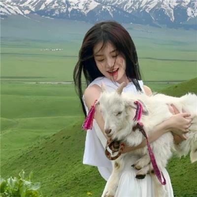 绝地7骑士